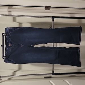 Lane Bryant Flare Leg Jean